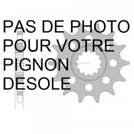 PIGNON AFAM au pas de 525 pour moto toutterrain. PIGNON AFAM au pas de 525 pour moto toutterrain.